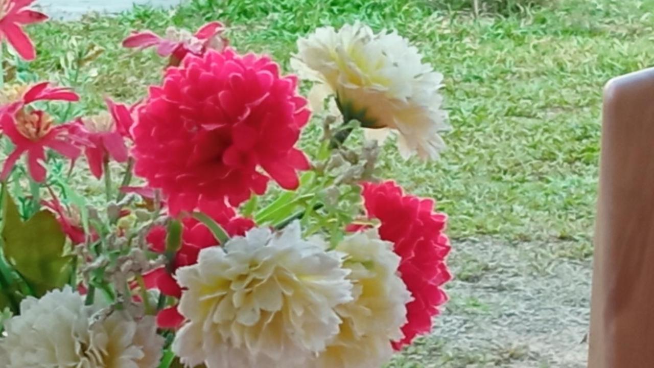 A4 * Udawalawe